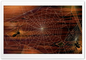 Spider Webs Hallowmas Halloween