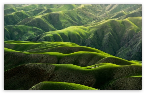 Download Grassland Landscape UltraHD Wallpaper