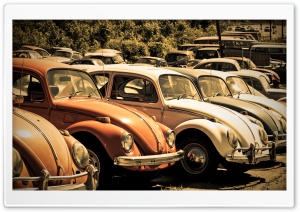 Old Volkswagen Beetle Junkyard