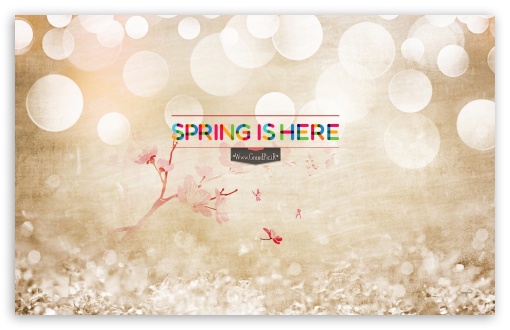 Download Spring Is Here UltraHD Wallpaper