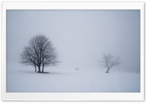 Misty Scene from Winterberg,...