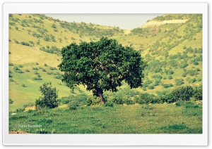 Kurdistan-Nature