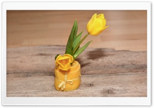 Yellow Tulips, Cute...