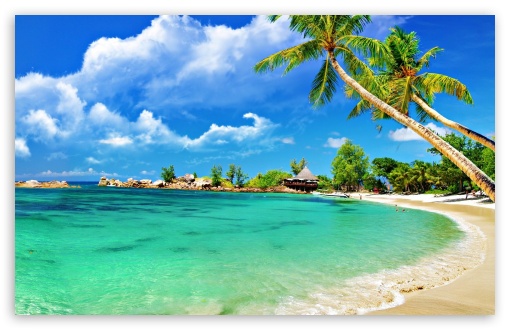 Download Awesome Tropical Beach UltraHD Wallpaper