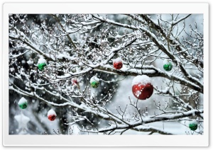 Decorated Tree Branches