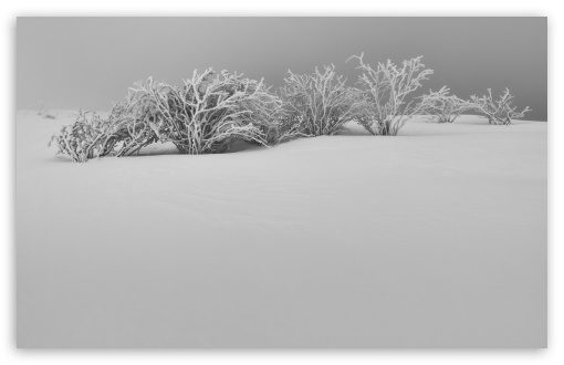 Download Winter White Snow Aesthetic Black and White UltraHD Wallpaper