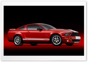 2007 Ford Shelby GT500...