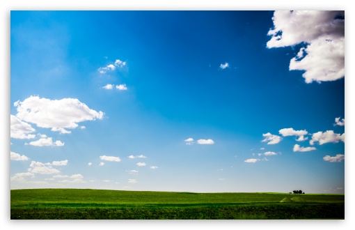 Download Green Field Nature Blue Sky UltraHD Wallpaper