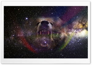 Bear Into the Space