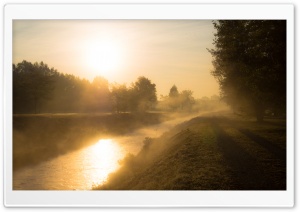 Golden Morning Mist