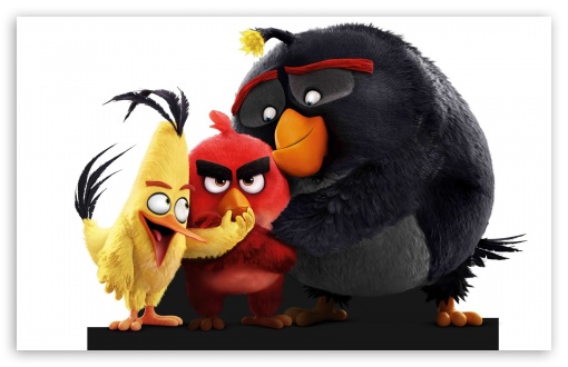 Download Angry Birds Movie 2016 UltraHD Wallpaper