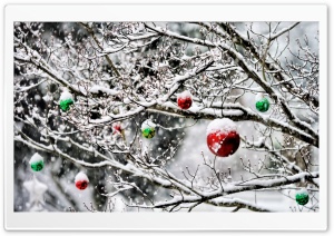 Christmas Ornaments In The Snow
