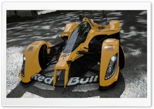 Red Bull X2010 Yellow