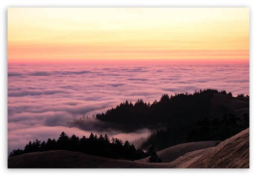 Download Above the Sea of Fog after Sunset UltraHD
