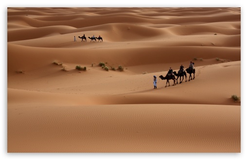 Download Camels Tour UltraHD Wallpaper