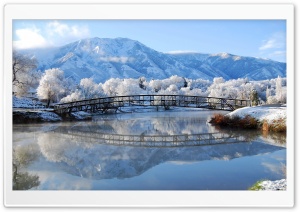 Bridge Winter