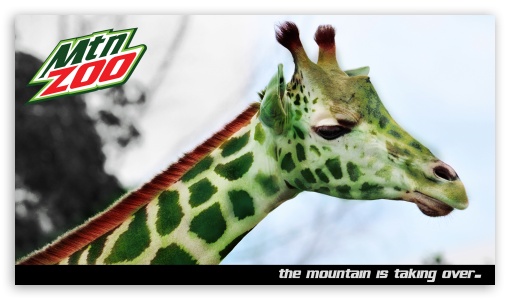 Download Mountain Zoo UltraHD Wallpaper
