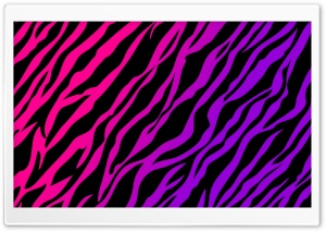 Hot Pink Purple Zebra Print