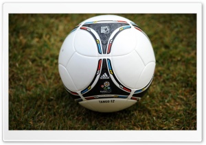 Tango 12 Soccer Ball