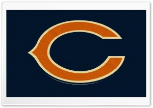 Chicago Bears Flag