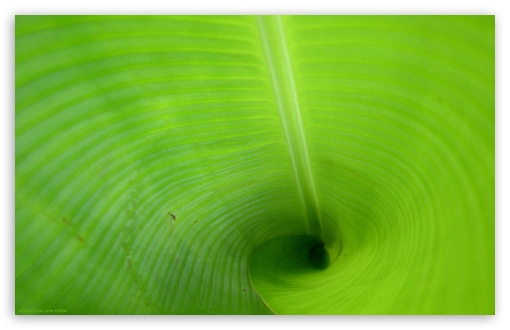 Download Green Tube UltraHD Wallpaper