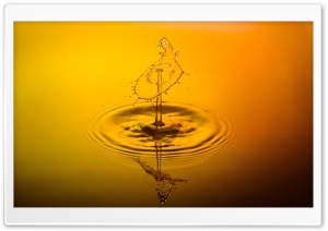 Yellow Water Droplet