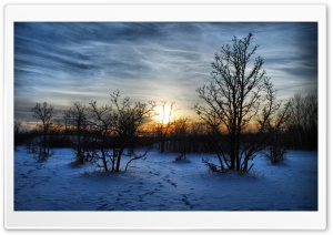 Winter Sunset Scene