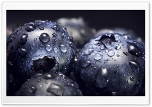 Waterdrops on Blueberries, Macro