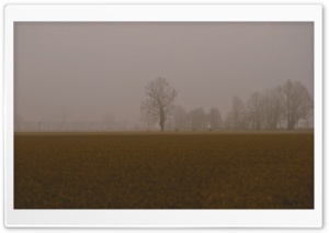 Cold Foggy Day