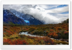 Landscape In Patagonia