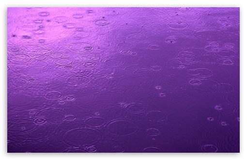 Download Purple Day UltraHD Wallpaper