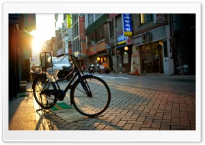 Bicycle, City