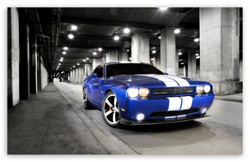 Download Dodge Challenger SRT Photo UltraHD Wallpaper