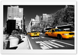 New York Taxi