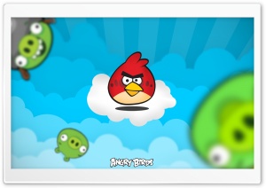 Angry Birds 2013