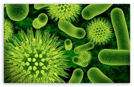Download Bacterias 3D UltraHD Wallpaper