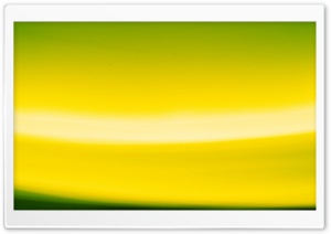 Abstract Yellow And Green