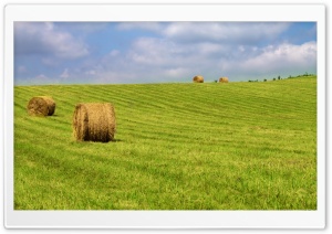 Hay Bales On Green Grass