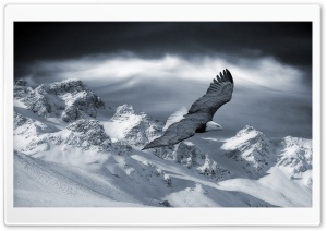 Bald Eagle Flying Over Mountains