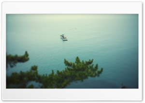 Boat at the Sea