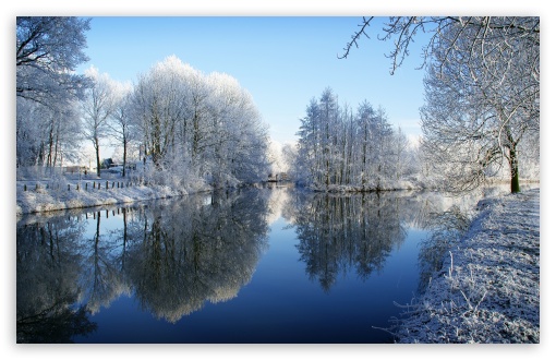 Download Frozen Trees Reflected In Water UltraHD Wallpaper