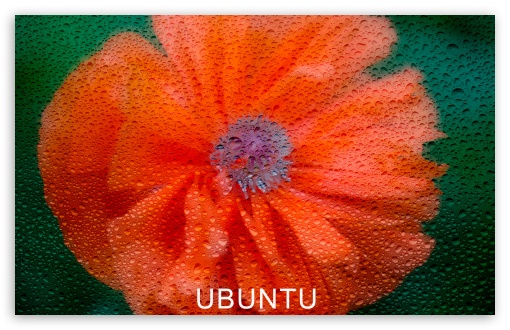 Download Ununtu UltraHD Wallpaper