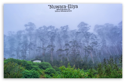 Download Nuwara-Eliya - Sri Lanka UltraHD Wallpaper