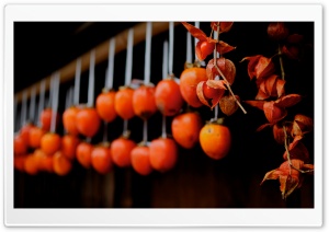 Drying Persimmons (Tsumago)