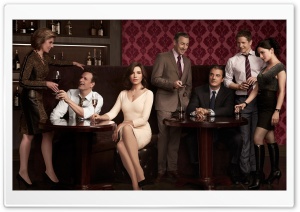 The Good Wife TV Show