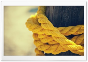 The Yellow Rope