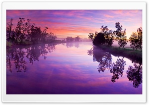 Purple River Reflection