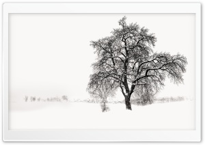 Winter Tree