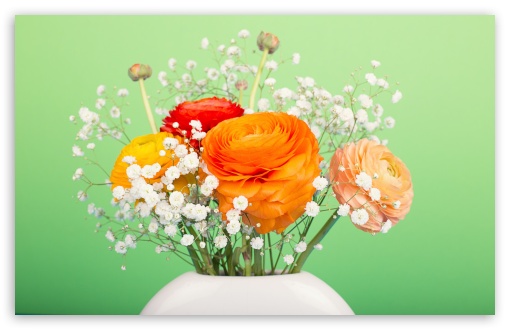 Download Persian Buttercup Bouquet UltraHD Wallpaper