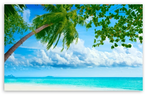 Download Tropical Beach Resorts UltraHD Wallpaper
